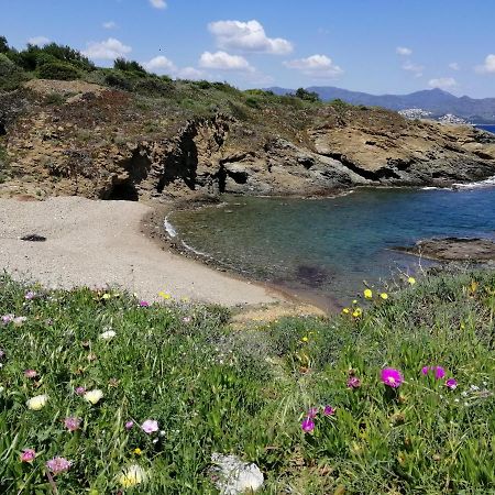 Casa Platja D'En Robert Villa El Port De La Selva ภายนอก รูปภาพ