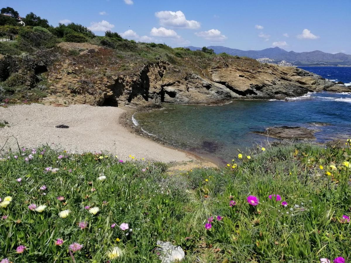 Casa Platja D'En Robert Villa El Port De La Selva ภายนอก รูปภาพ